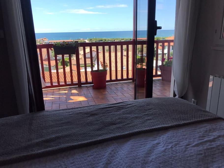 Bel Appartement Tout Confort En Bord Des Plages Anglet Ngoại thất bức ảnh